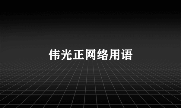 伟光正网络用语