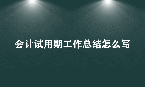 会计试用期工作总结怎么写