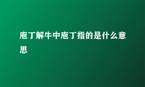 庖丁解牛中庖丁指的是什么意思