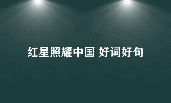 红星照耀中国 好词好句