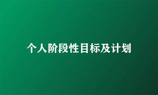 个人阶段性目标及计划