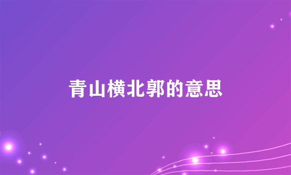 青山横北郭的意思