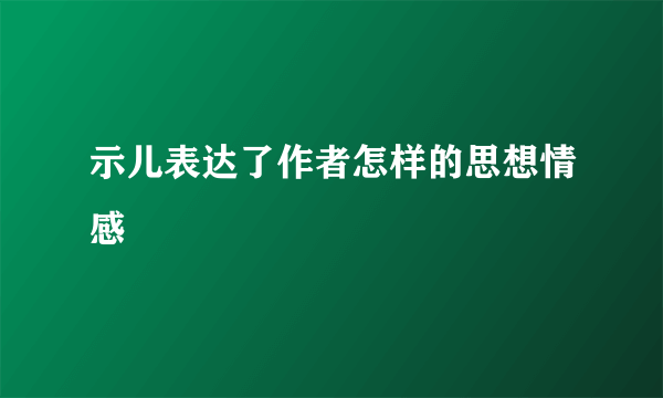 示儿表达了作者怎样的思想情感