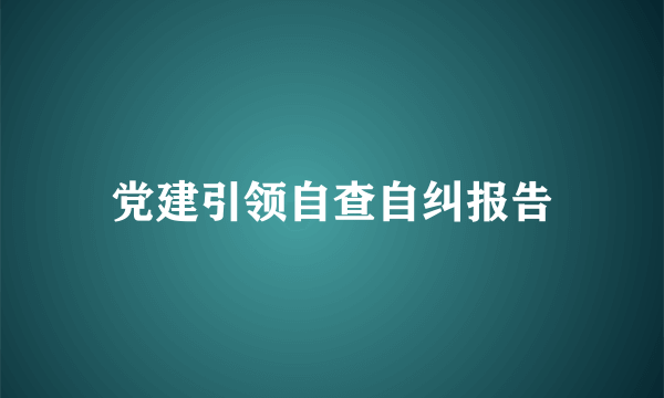 党建引领自查自纠报告