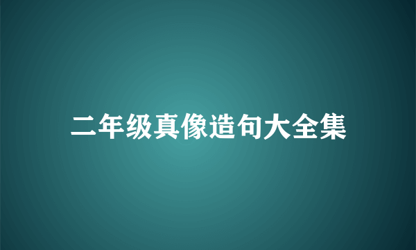 二年级真像造句大全集
