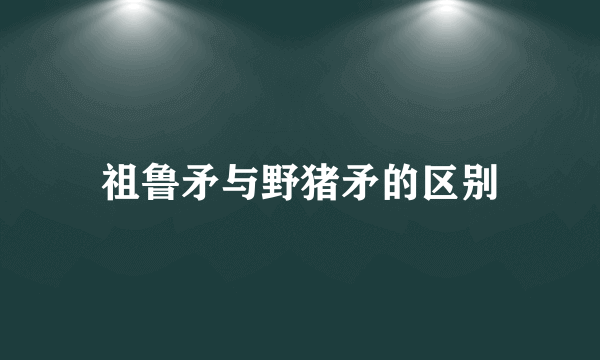 祖鲁矛与野猪矛的区别