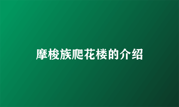 摩梭族爬花楼的介绍