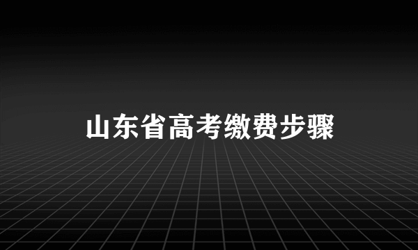 山东省高考缴费步骤
