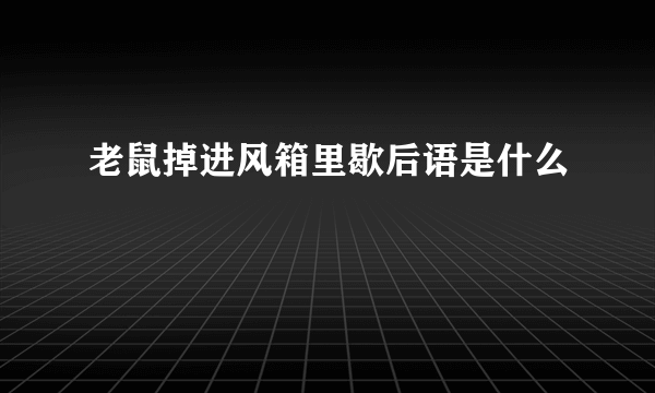 老鼠掉进风箱里歇后语是什么
