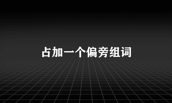 占加一个偏旁组词