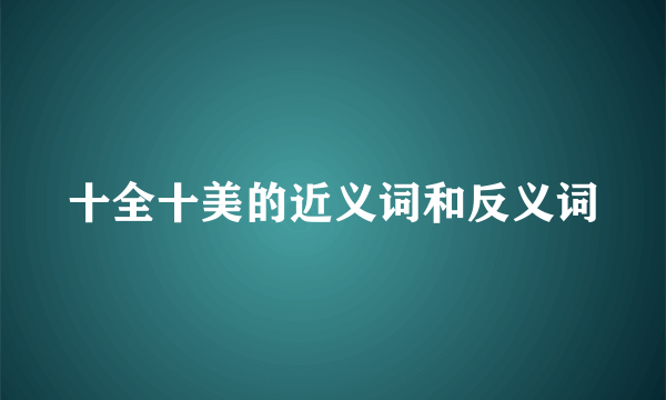 十全十美的近义词和反义词