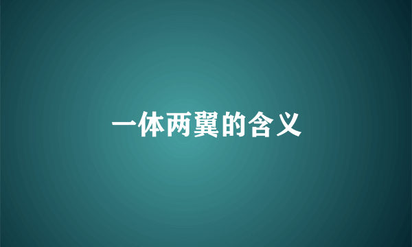 一体两翼的含义