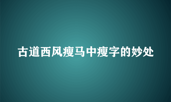 古道西风瘦马中瘦字的妙处