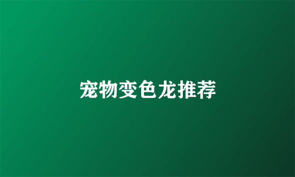 宠物变色龙推荐