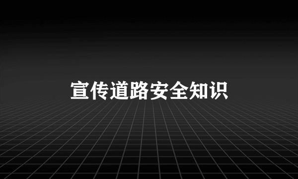宣传道路安全知识