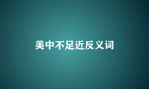 美中不足近反义词