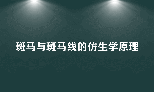斑马与斑马线的仿生学原理