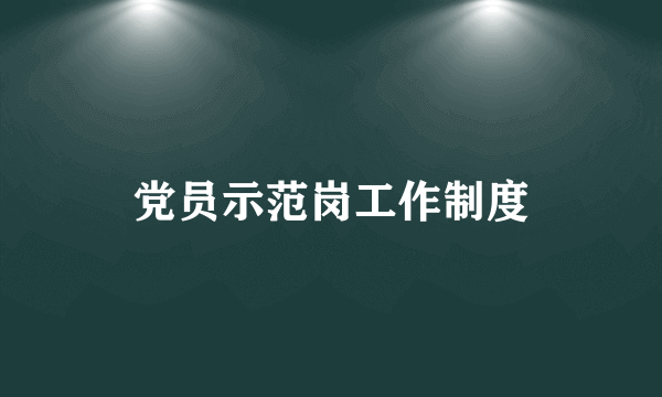 党员示范岗工作制度