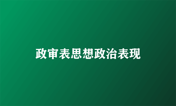 政审表思想政治表现