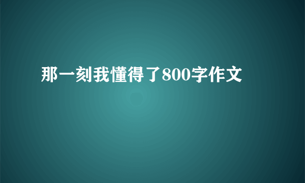 那一刻我懂得了800字作文
