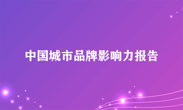 中国城市品牌影响力报告