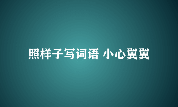 照样子写词语 小心翼翼