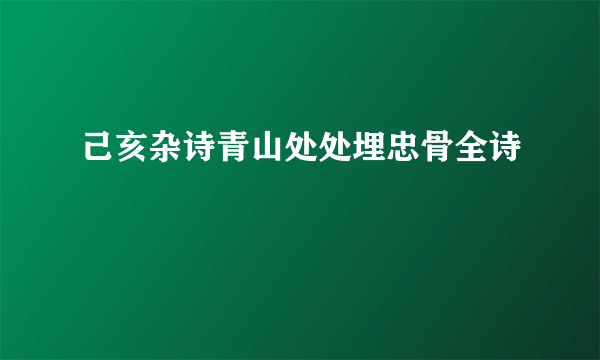 己亥杂诗青山处处埋忠骨全诗