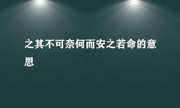 之其不可奈何而安之若命的意思