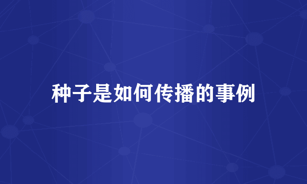 种子是如何传播的事例