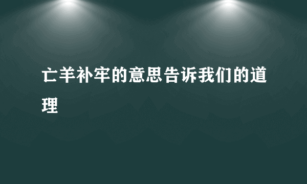 亡羊补牢的意思告诉我们的道理