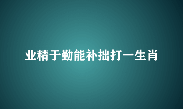 业精于勤能补拙打一生肖