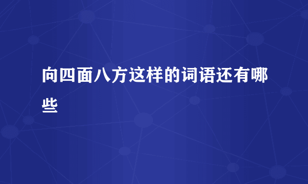 向四面八方这样的词语还有哪些