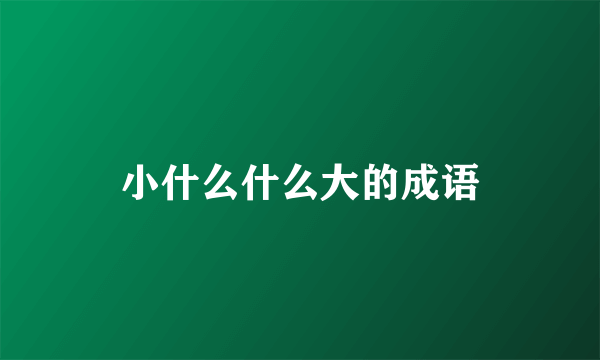 小什么什么大的成语