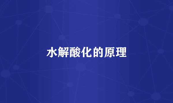 水解酸化的原理