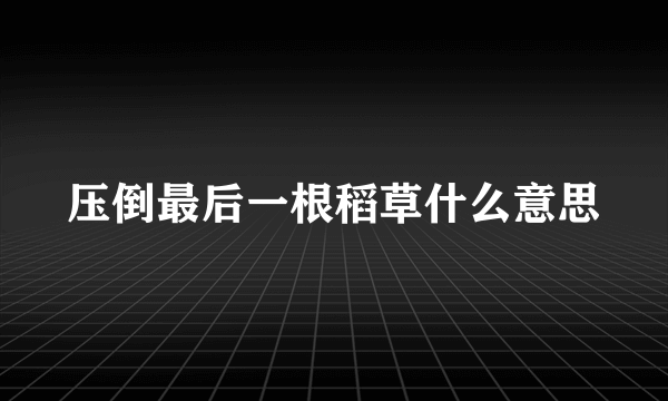 压倒最后一根稻草什么意思