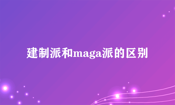 建制派和maga派的区别