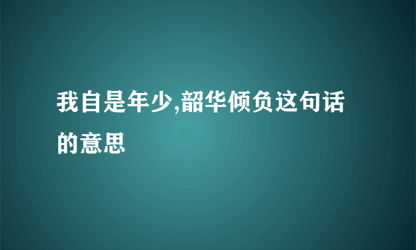 我自是年少,韶华倾负这句话的意思