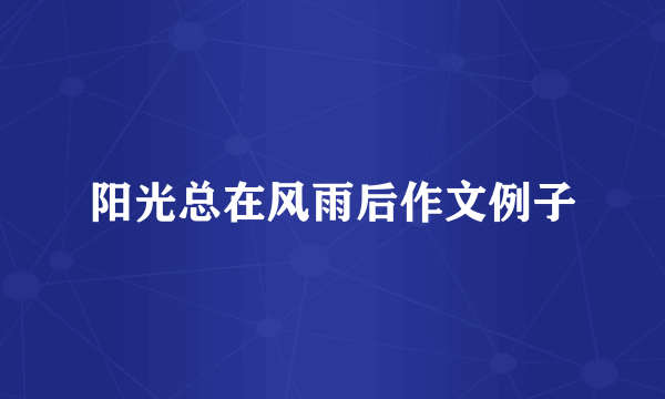 阳光总在风雨后作文例子
