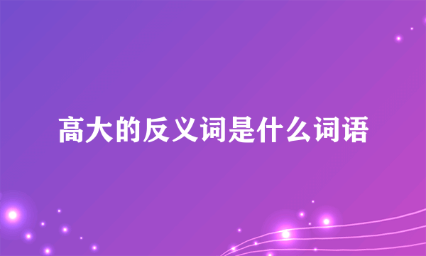 高大的反义词是什么词语