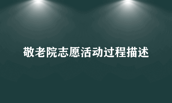 敬老院志愿活动过程描述