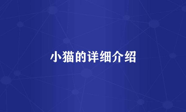 小猫的详细介绍