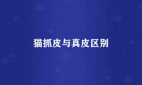 猫抓皮与真皮区别
