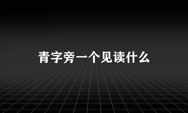 青字旁一个见读什么