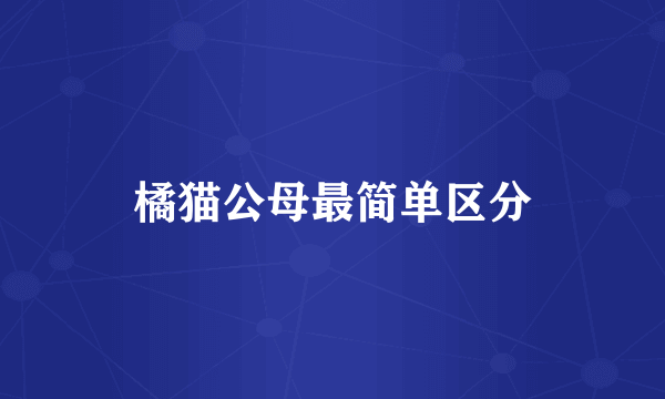橘猫公母最简单区分