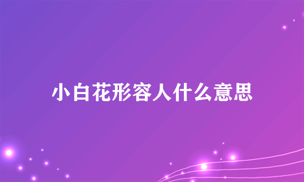 小白花形容人什么意思