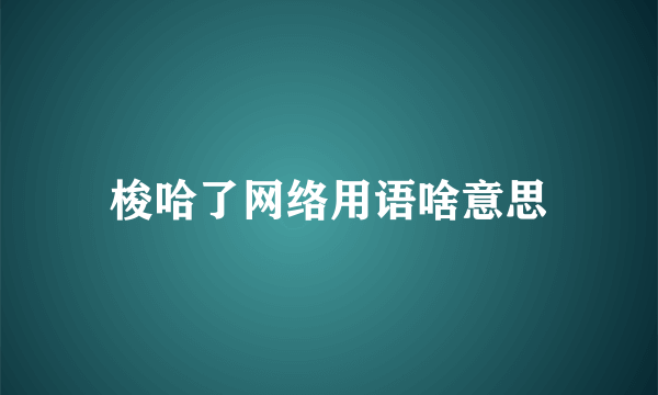 梭哈了网络用语啥意思