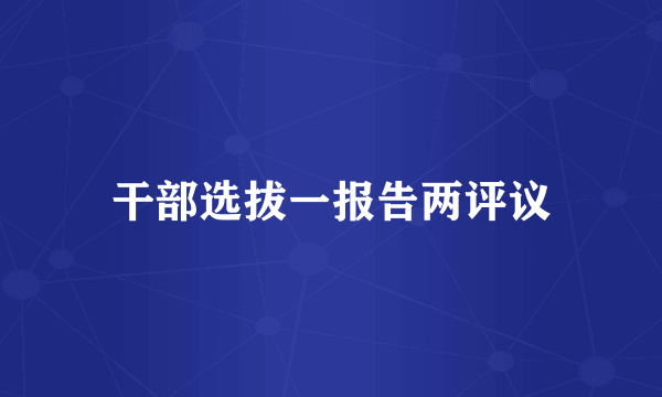 干部选拔一报告两评议