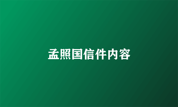 孟照国信件内容