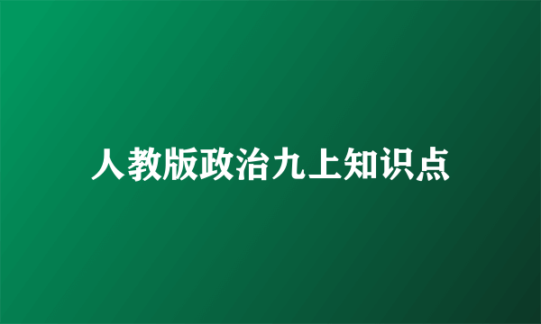 人教版政治九上知识点