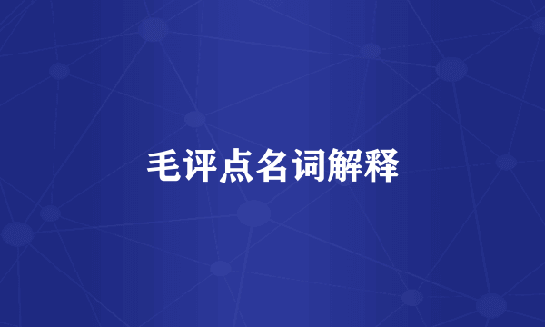 毛评点名词解释